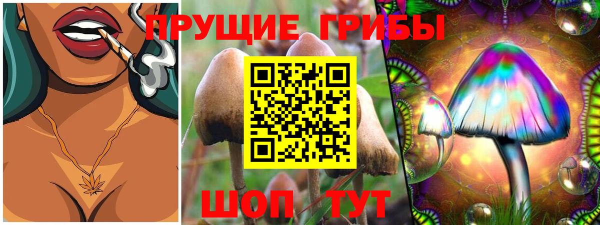 Качканар  Галлюциногенные грибы Psilocybine cubensis  Вход с VPN 